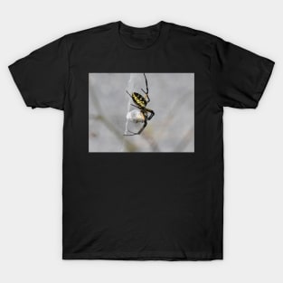 Yellow Garden Spider T-Shirt